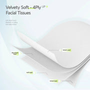 CozyBunny Velvet Soft Antibacterial Facial Tissues (Homely) 4 Packs x 120 Sheets (4 Ply) Cozy Bunny