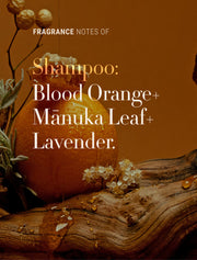 Antipodes Manuka Honey and Orange Volume and Shine Shampoo 340ml Antipodes