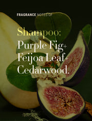 Antipodes Fig and Feijoa Repair and Nourish Shampoo 340ml Antipodes