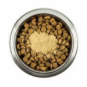 Ranger Green Lipped Mussel Power – Natural Supplement 100g Ranger