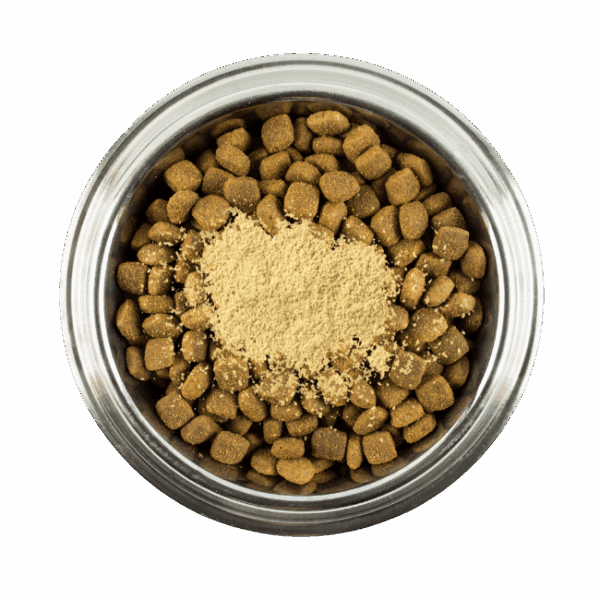 Ranger Green Lipped Mussel Power – Natural Supplement 100g Ranger