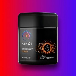 MitoQ brain